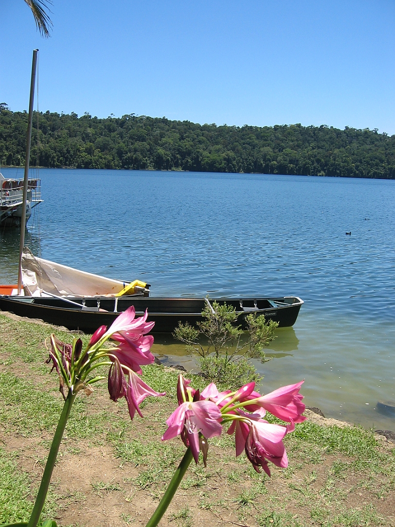 027 Lake Barrine.jpg